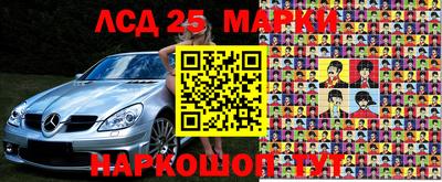 молекула духа Боровичи