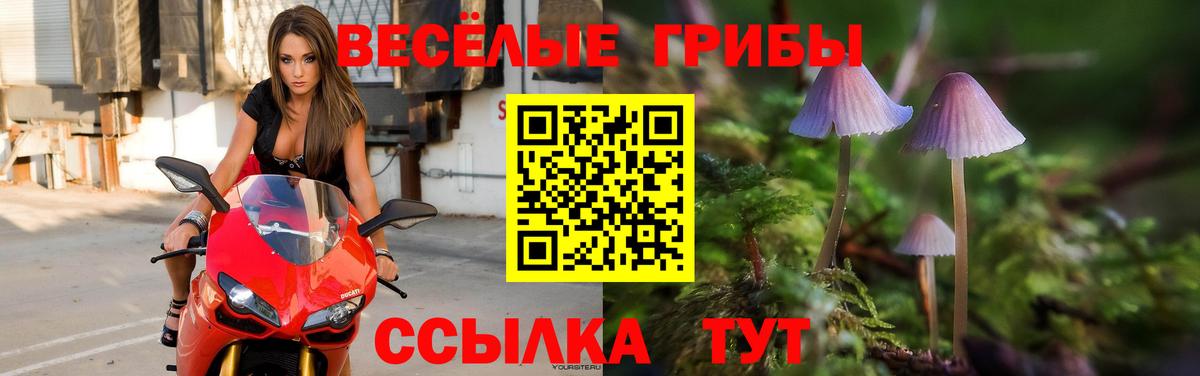 Галлюциногенные грибы MAGIC MUSHROOMS  Вход с VPN  где продают   Дюртюли  Галлюциногенные грибы прущие грибы 